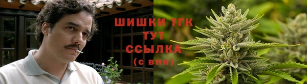 spice Медвежьегорск