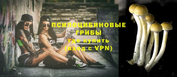 spice Медвежьегорск