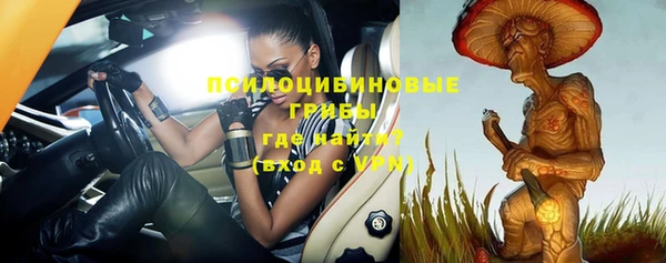 спиды Усмань