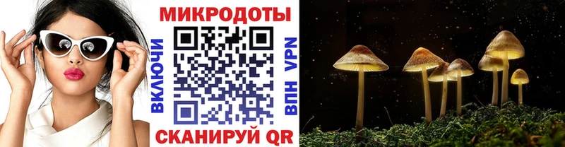 Псилоцибиновые грибы Magic Shrooms  где продают наркотики  Староминская 